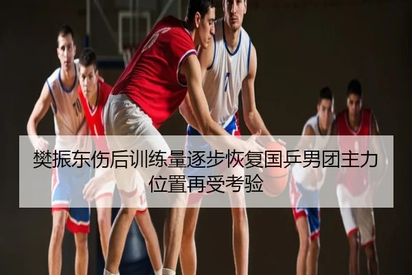 樊振东伤后训练量逐步恢复国乒男团主力位置再受考验