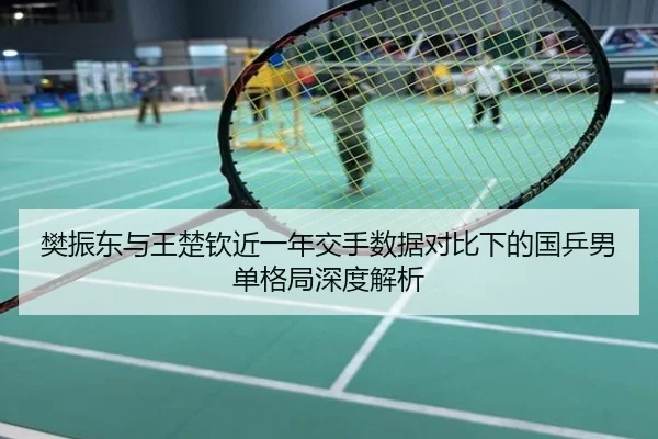 樊振东与王楚钦近一年交手数据对比下的国乒男单格局深度解析